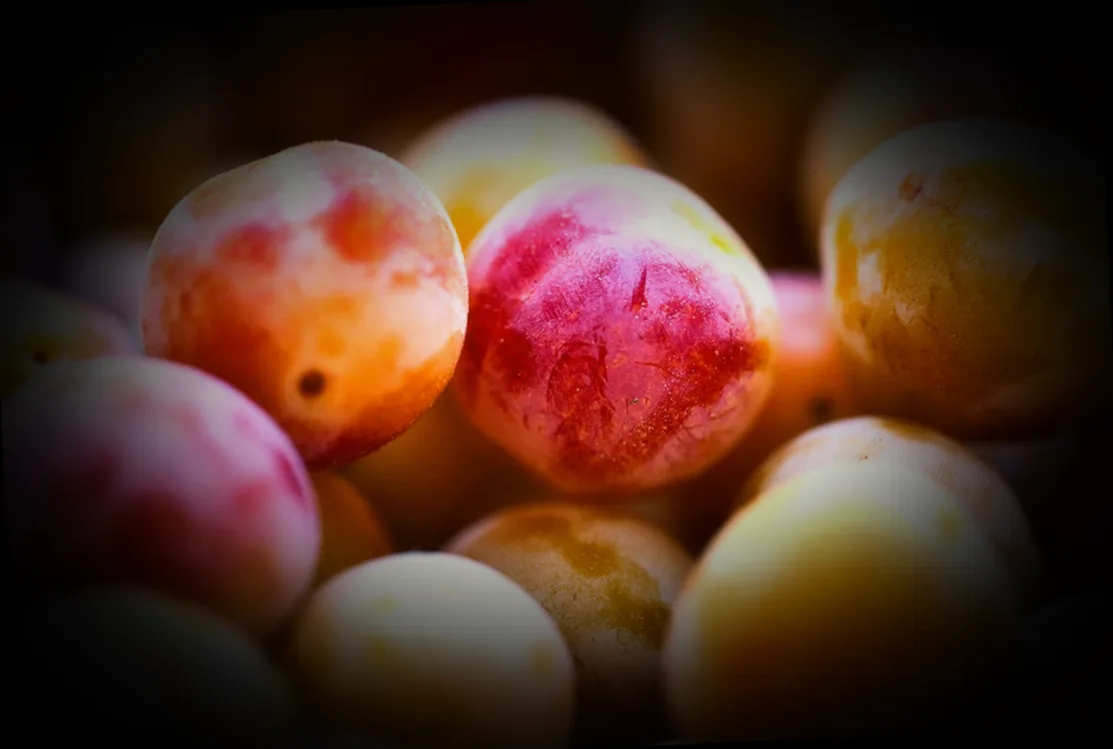 200 qm garten gestalten kosten - Bild 1