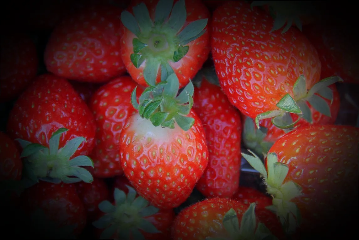 200 qm garten gestalten kosten - Bild 5