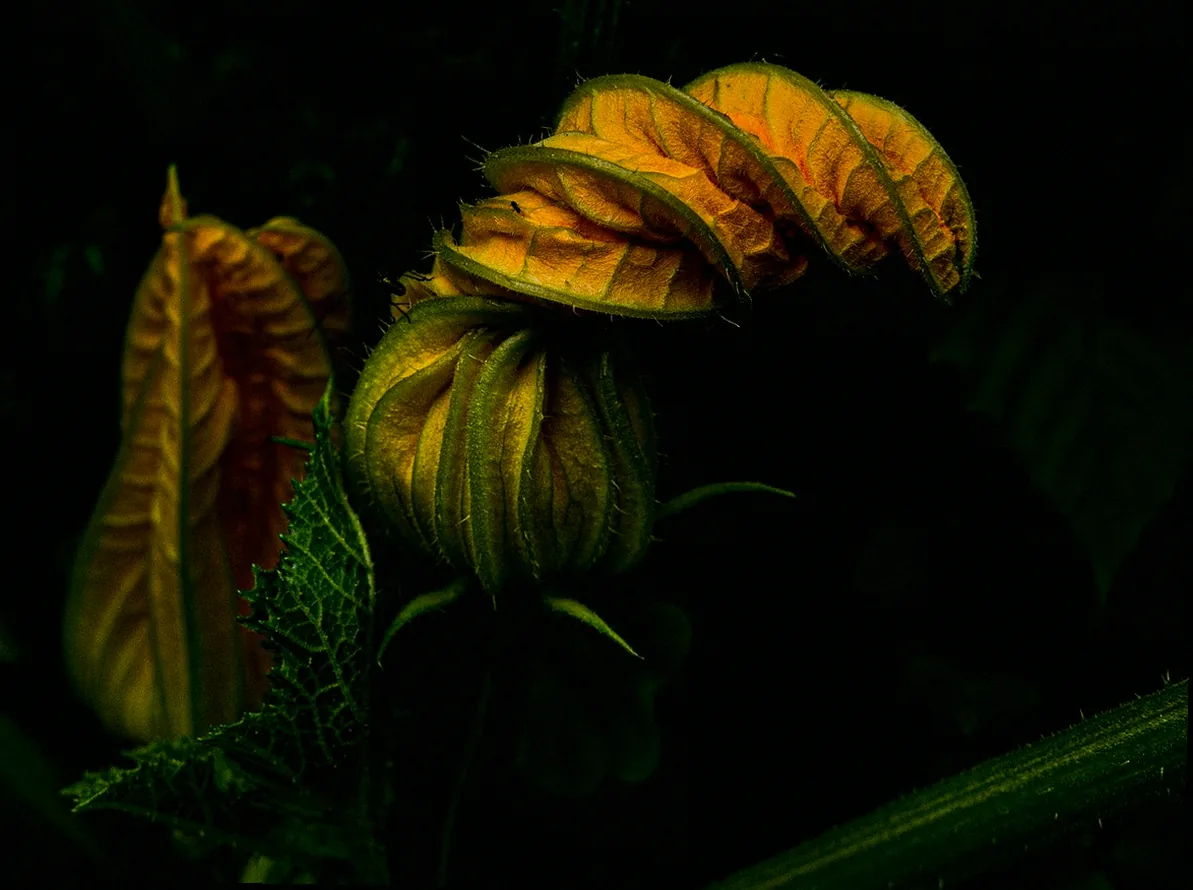 200 qm garten gestalten kosten