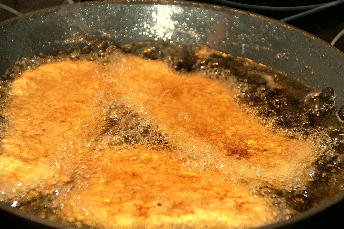 araucaria stecklinge - Bild 1