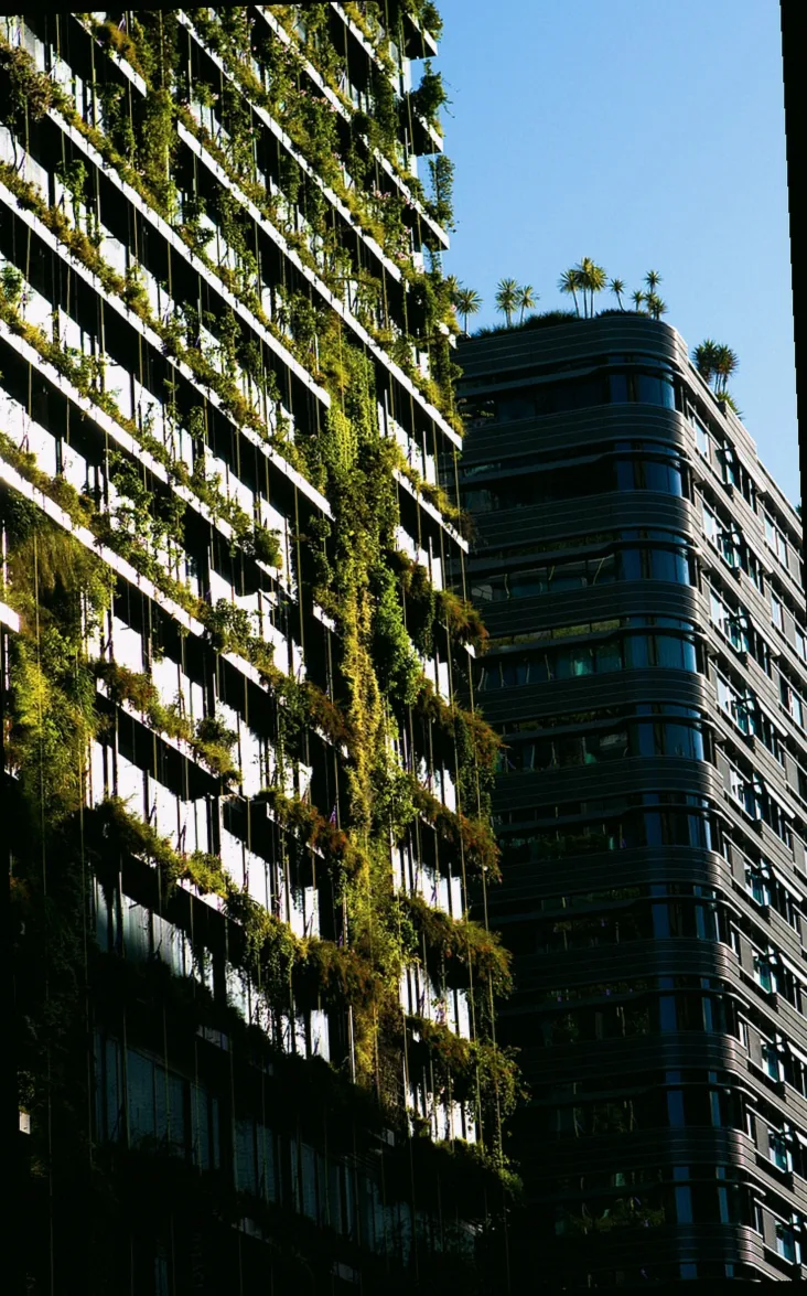 außergewöhnliche pflanzen für garten