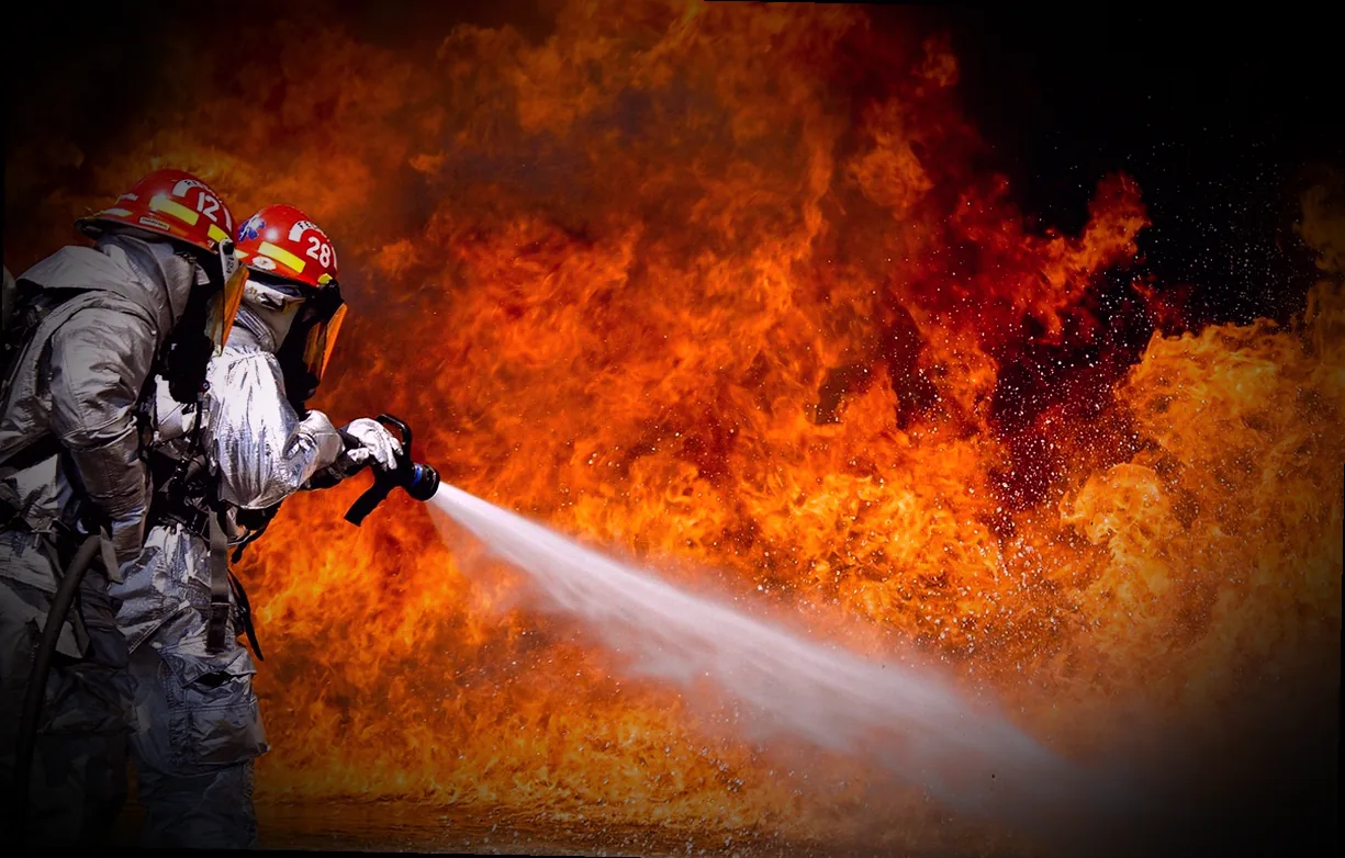 blattläuse bekämpfen mit rhabarber - Bild 1