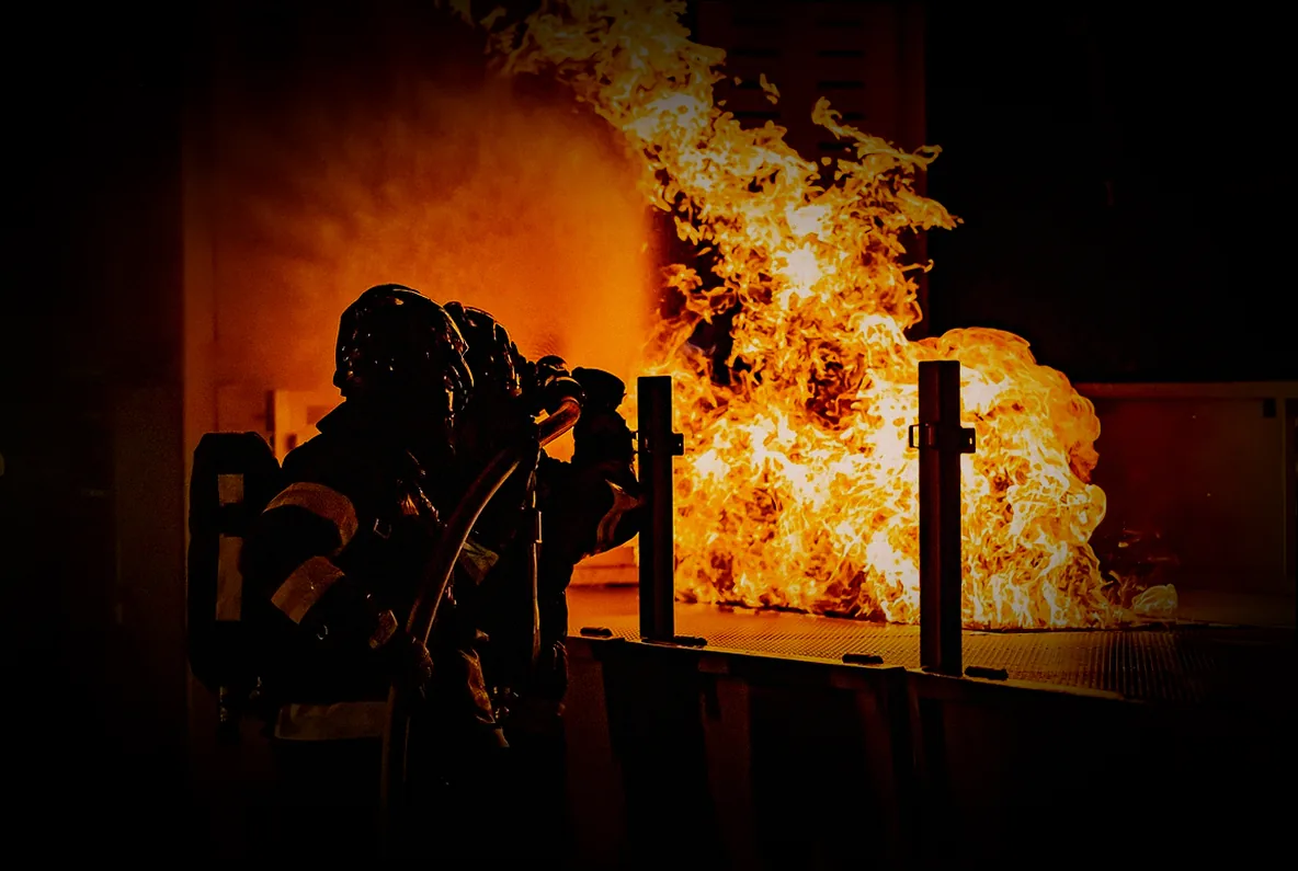 blattläuse bekämpfen mit rhabarber