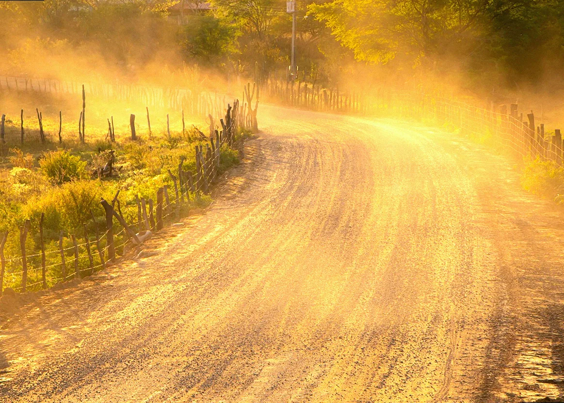 celaflor gegen läuse - Bild 1