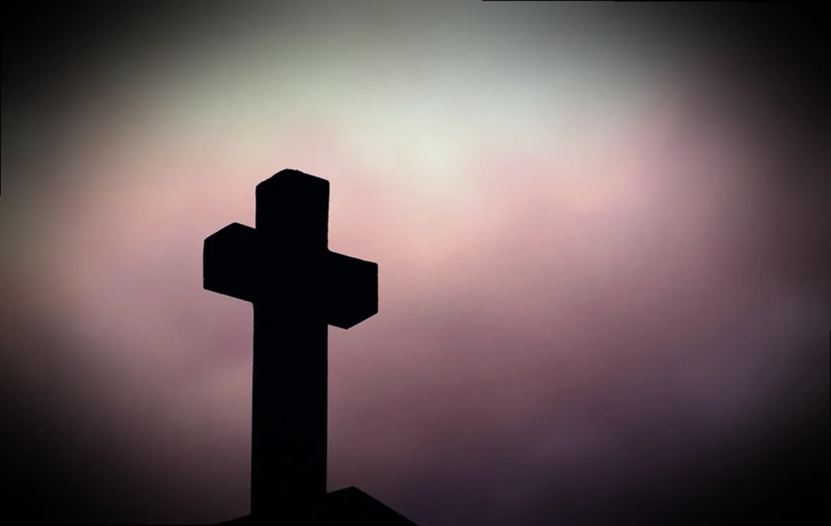 celaflor gegen läuse - Bild 2