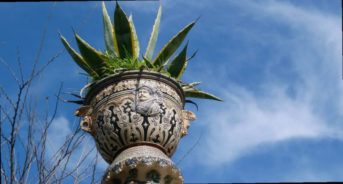 dehner übertopf terracotta - Bild 3