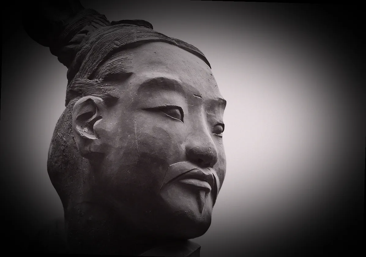 dehner übertopf terracotta - Bild 4