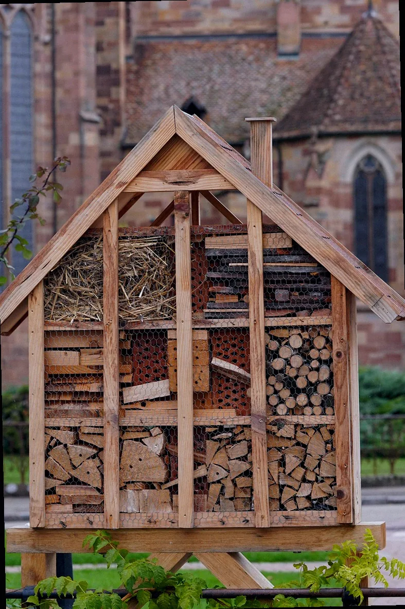 eichenbalken insektenhotel - Bild 1