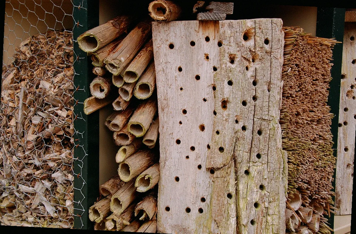 eichenbalken insektenhotel - Bild 3