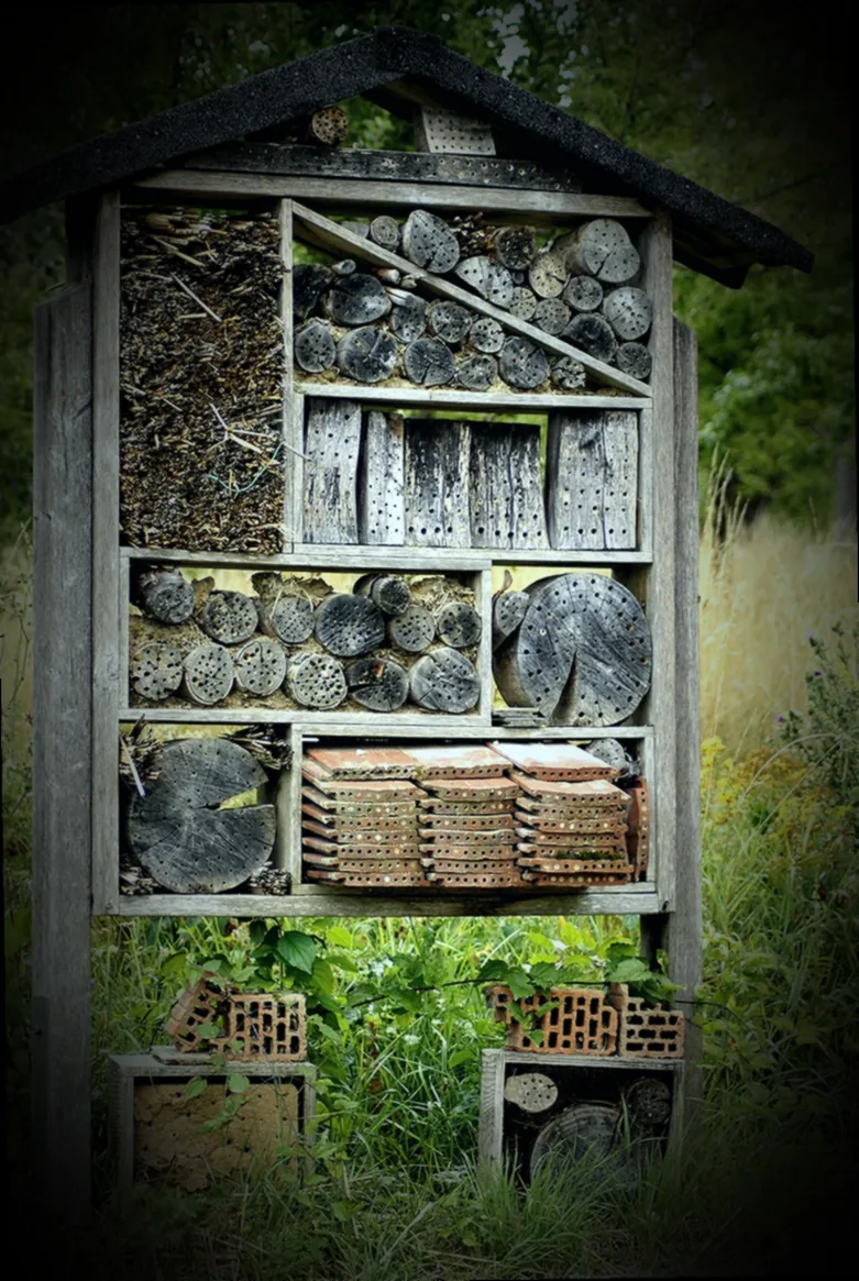 eichenbalken insektenhotel - Bild 5