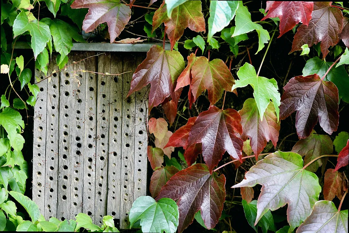 eichenbalken insektenhotel
