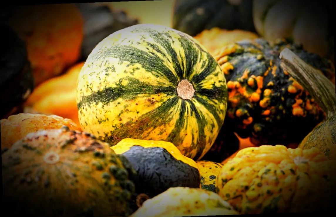 gemüse saison dezember januar - Bild 1