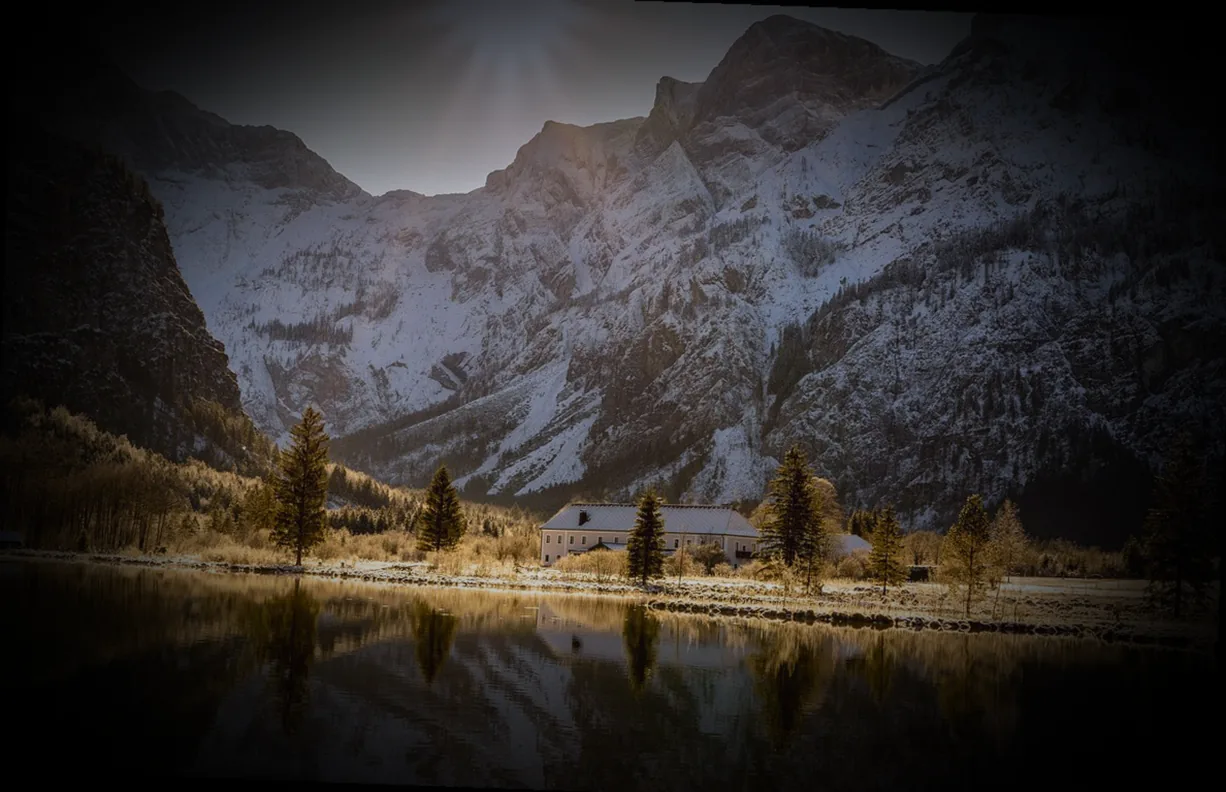 gemüse saison dezember januar - Bild 3