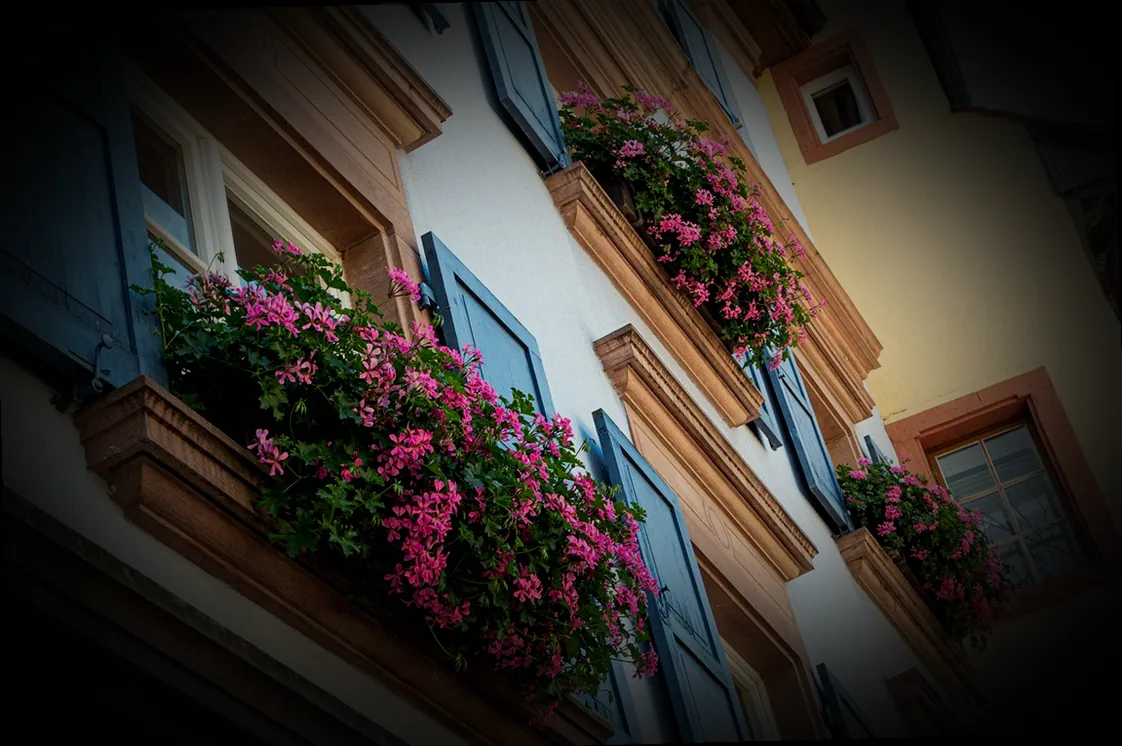 hänge blumenkästen - Bild 2