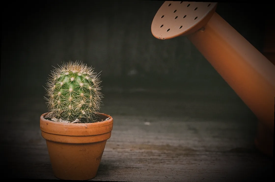 hängekorb blumentopf - Bild 3