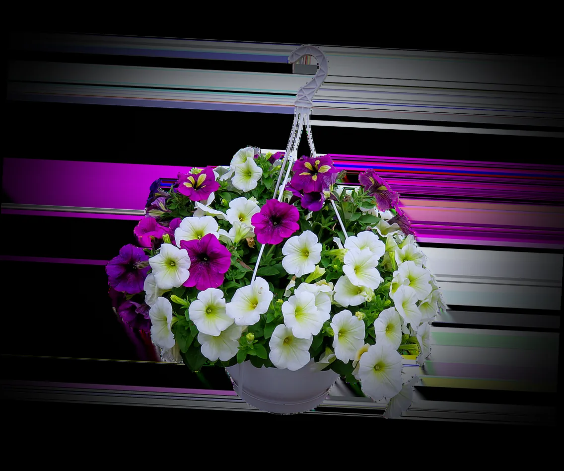 hängekorb blumentopf - Bild 4