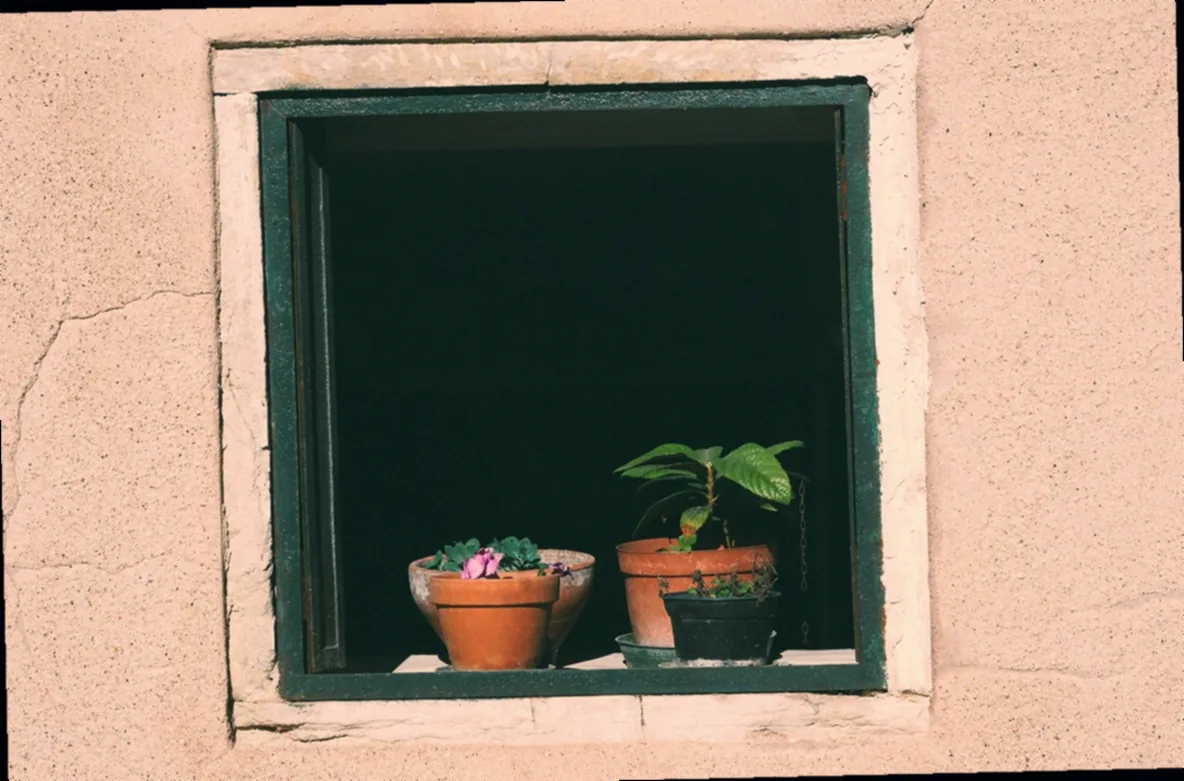 hängekorb blumentopf - Bild 5