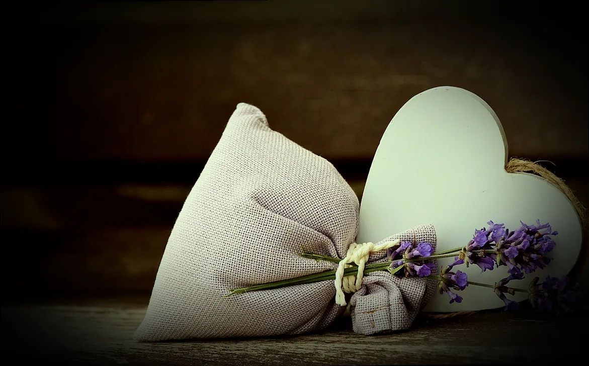 lavendel rückschnitt frühjahr