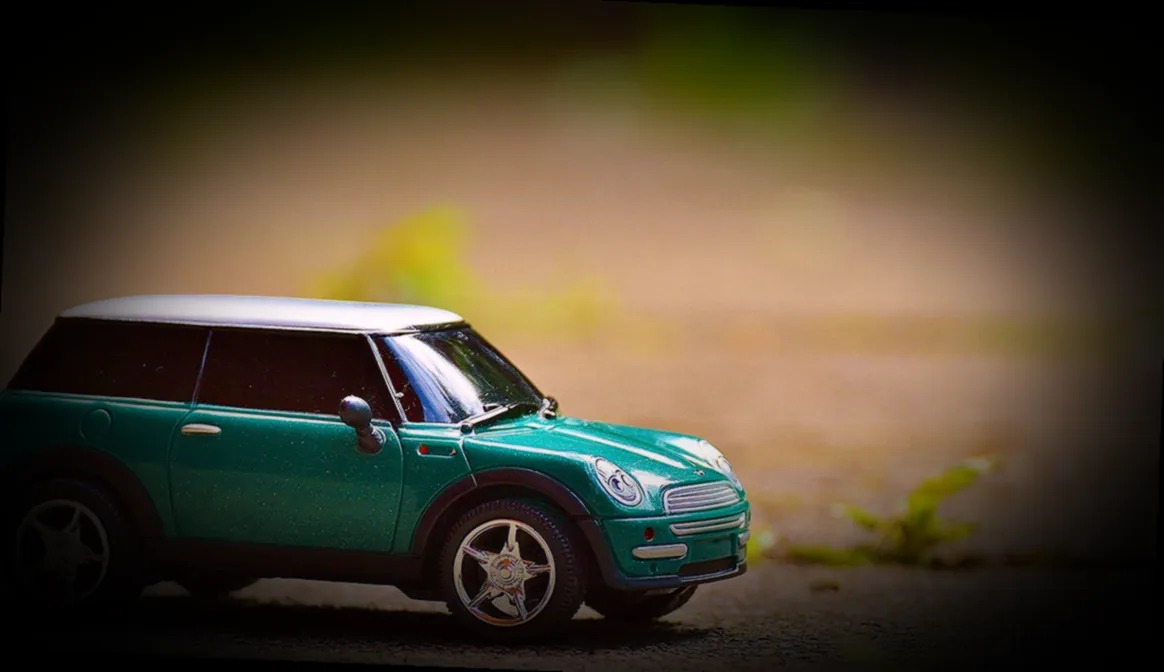 mini hortensien kaufen - Bild 3