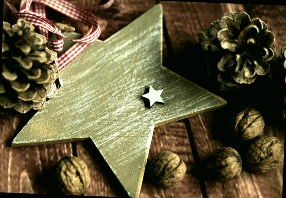 orchideendünger für weihnachtsstern