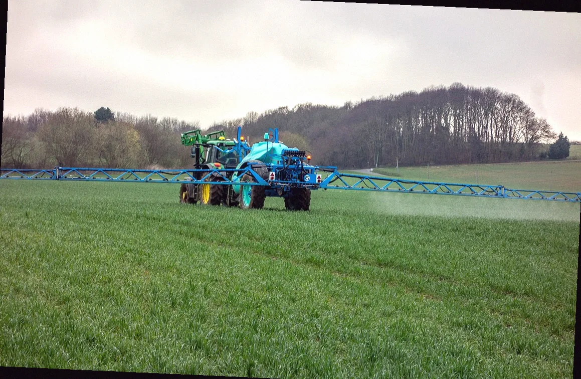 rasen düngen bei frost - Bild 2