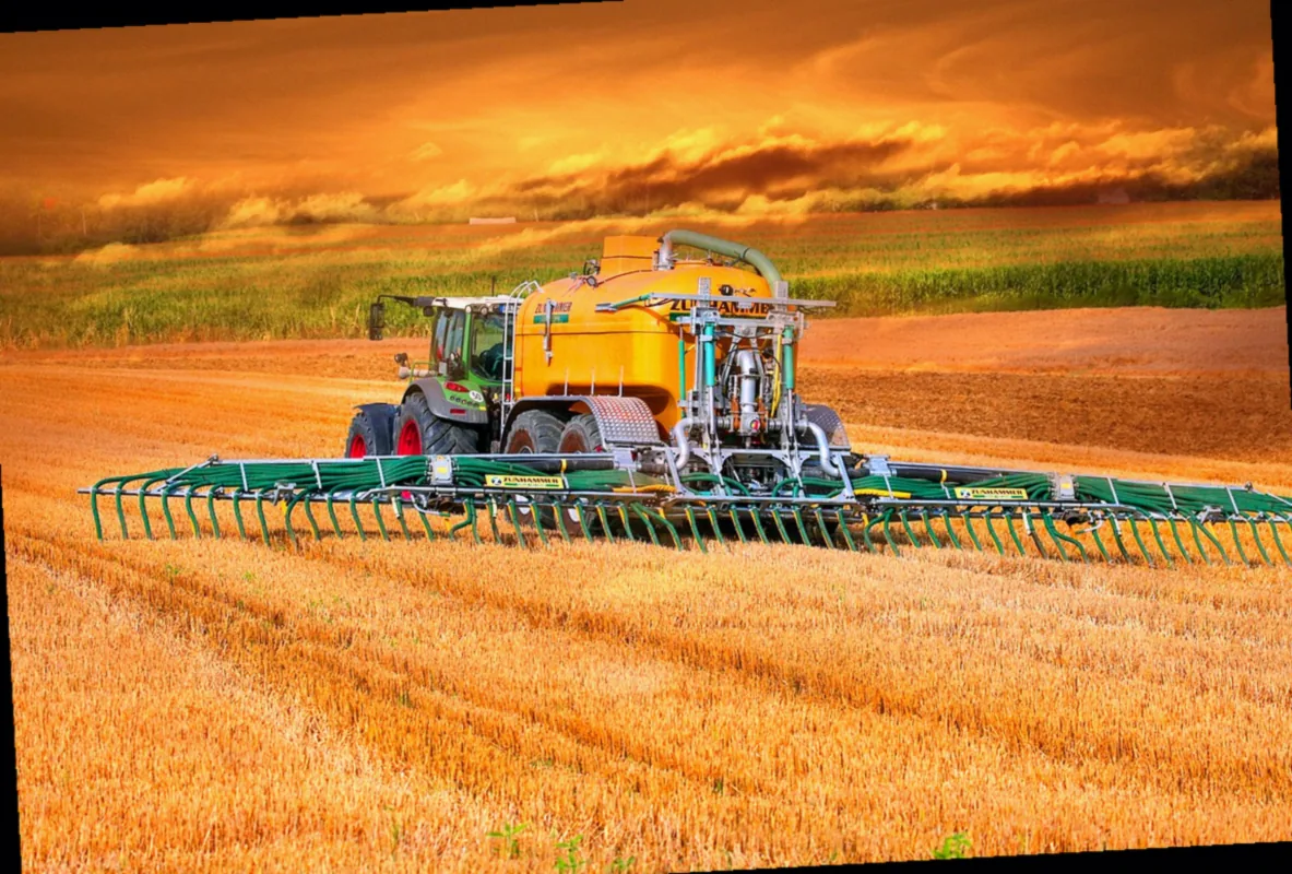 rasen düngen bei frost - Bild 4