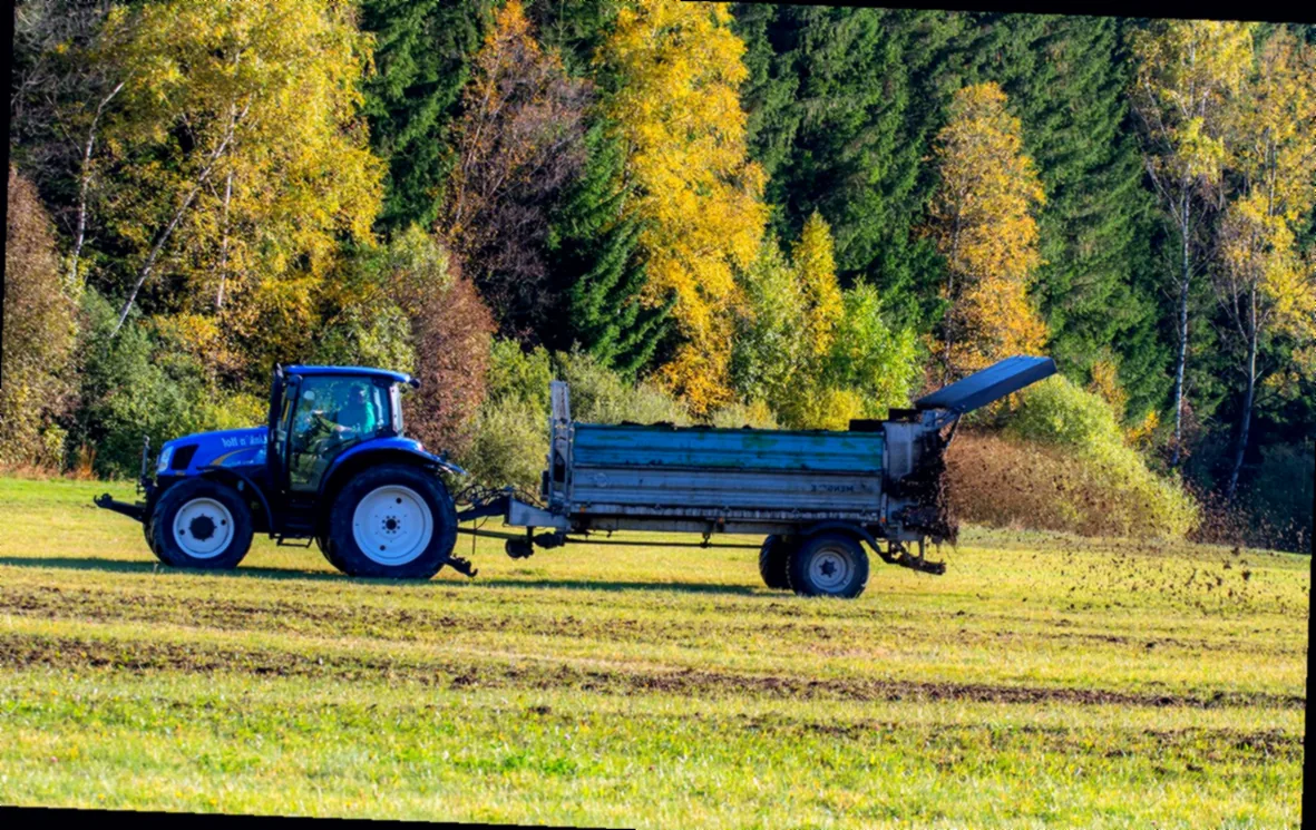 rasen düngen bei frost - Bild 5