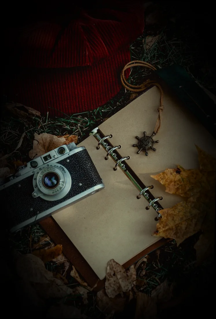 rasen vertikutieren herbst mein schöner garten - Bild 4