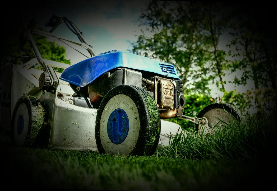 rasen vertikutieren herbst mein schöner garten - Bild 5