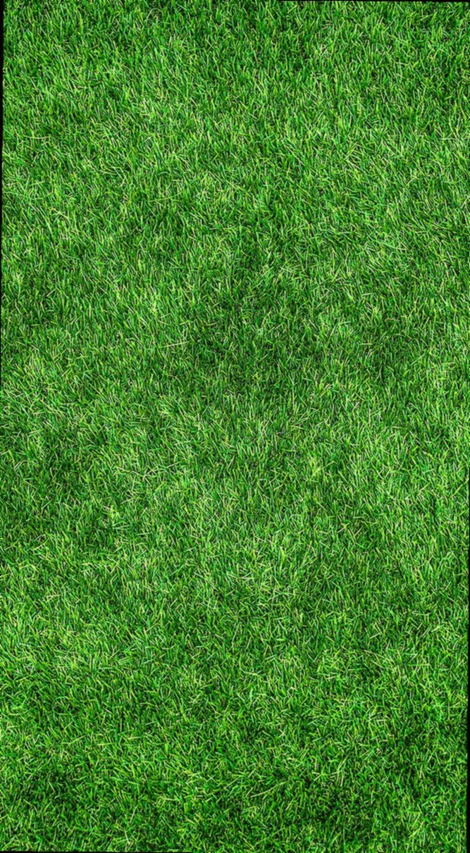 rasen vertikutieren herbst mein schöner garten