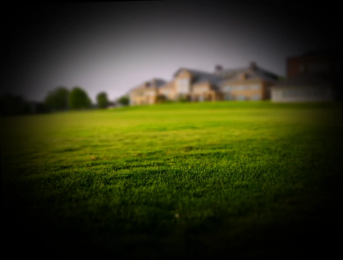 rasen vor dem winter kurz mähen - Bild 1