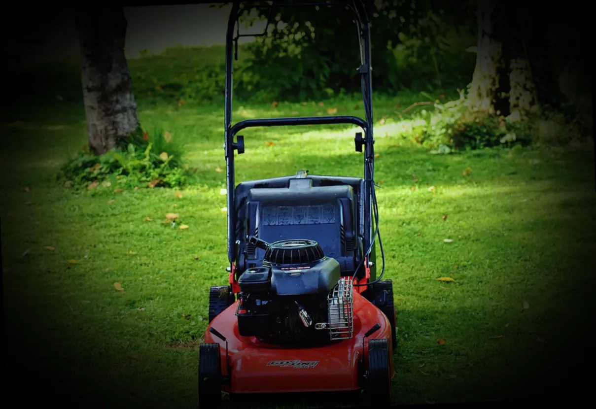 rasen vor dem winter kurz mähen - Bild 2