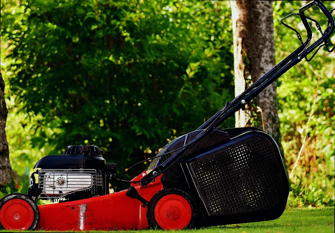 rasen vor dem winter kurz mähen - Bild 3