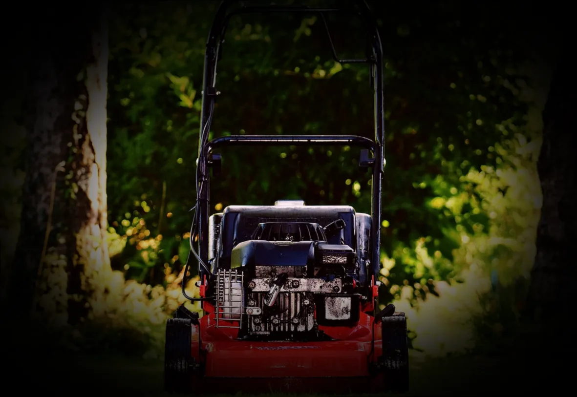 rasen vor dem winter kurz mähen - Bild 4