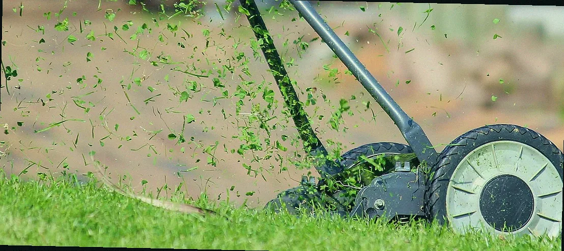 rasen vor dem winter kurz mähen