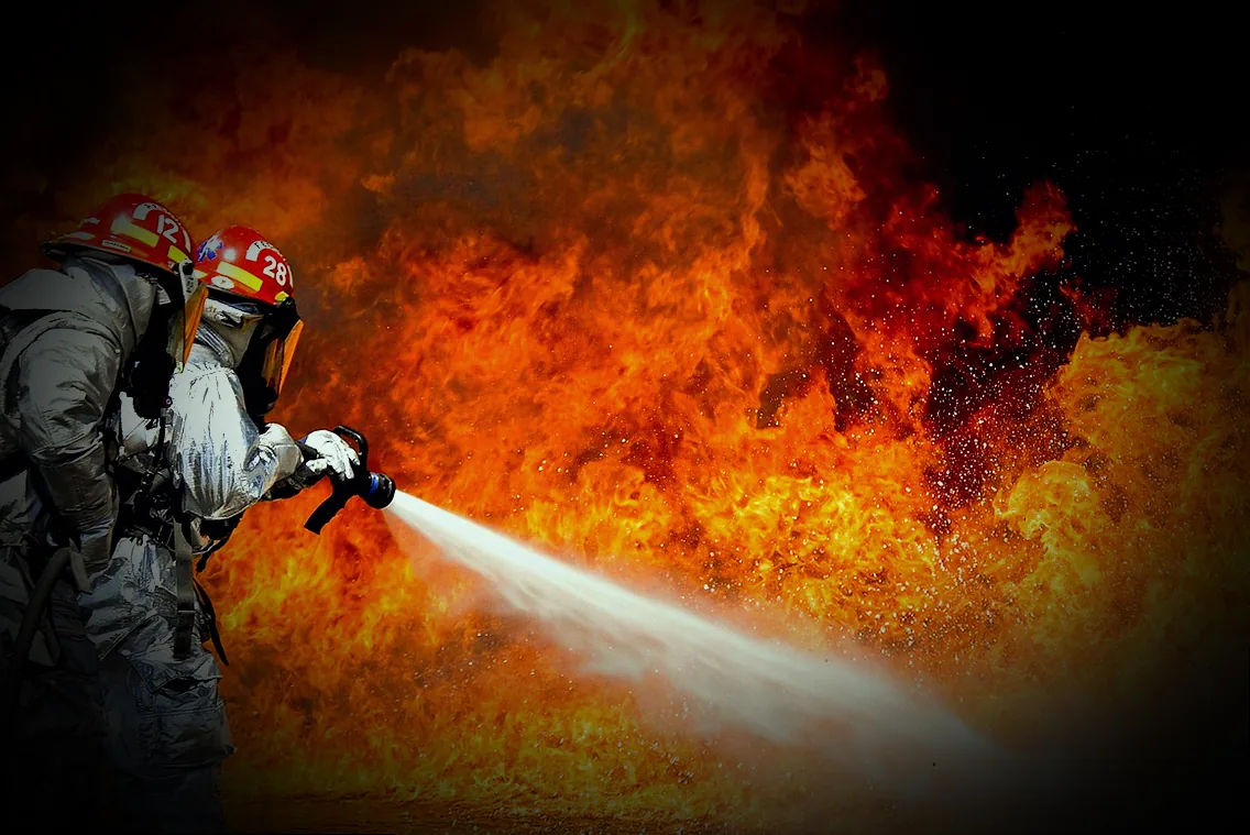 schwarze blattläuse im garten bekämpfen - Bild 1