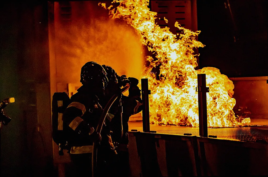 schwarze blattläuse im garten bekämpfen