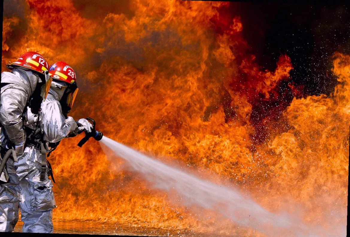 speckkäfer larven bekämpfen - Bild 1