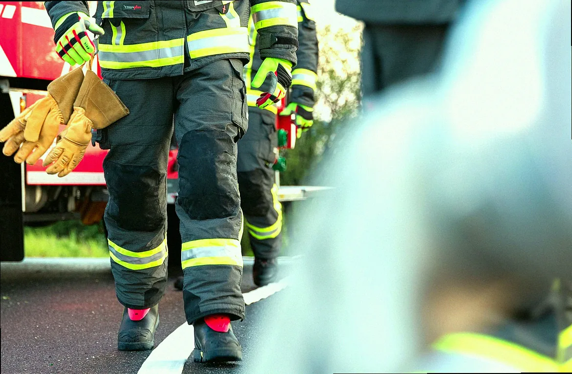 speckkäfer larven bekämpfen - Bild 3