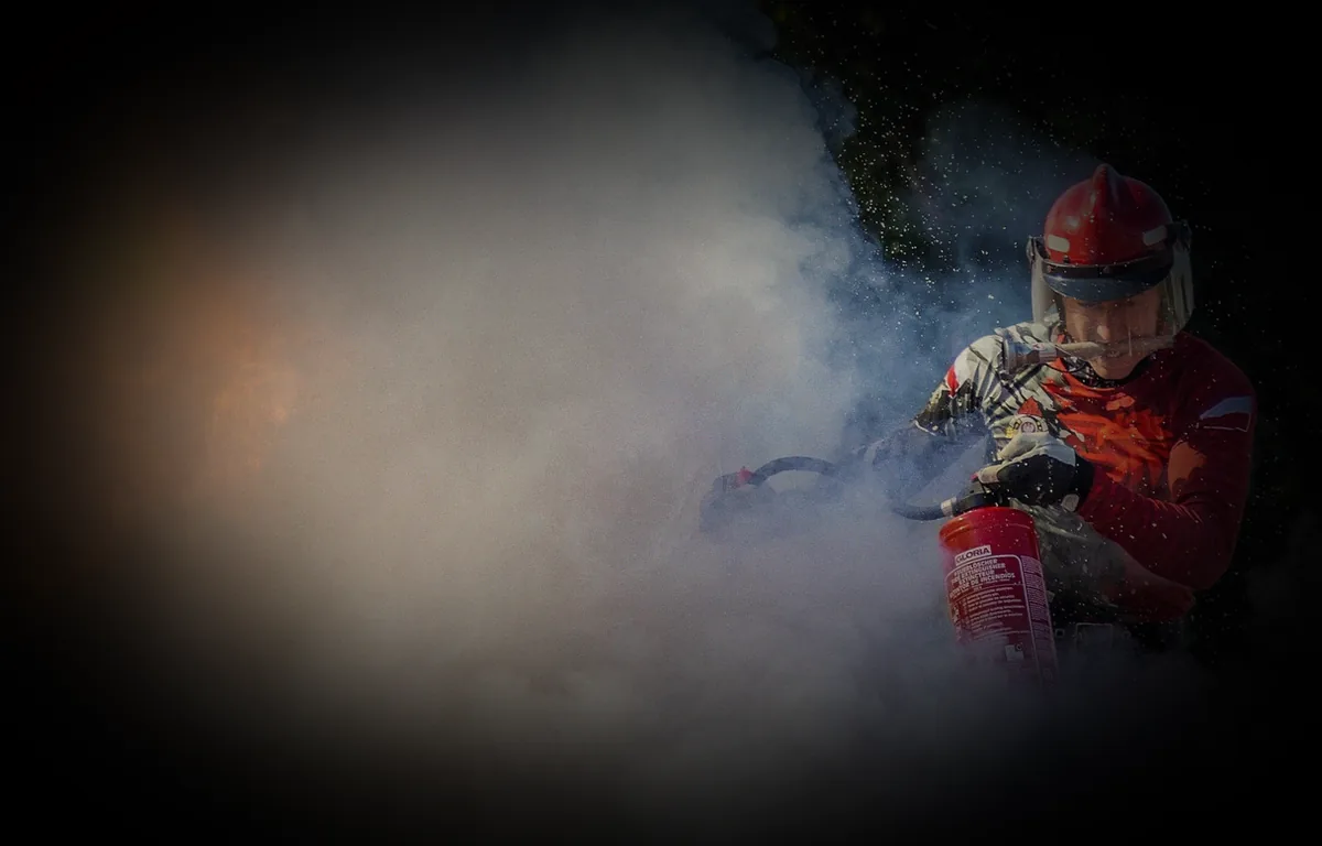 speckkäfer larven bekämpfen - Bild 5