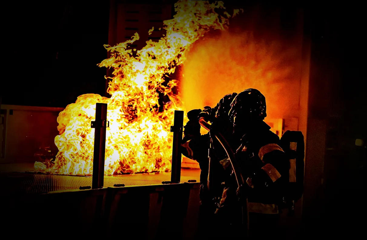 speckkäfer larven bekämpfen