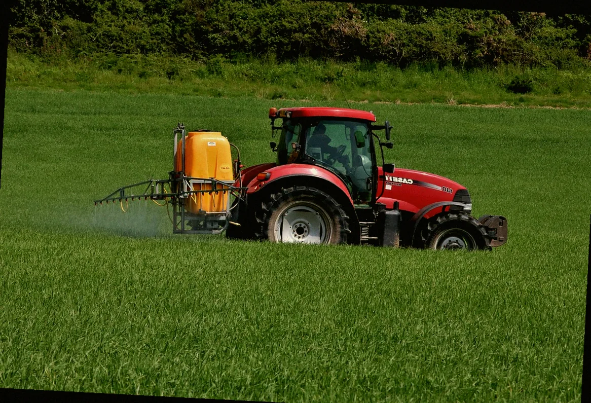 weiße fliege insektizid - Bild 2