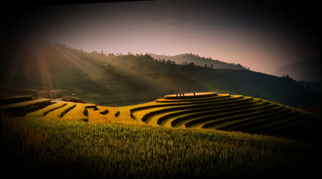 windschutz terrasse ohne bohren - Bild 2