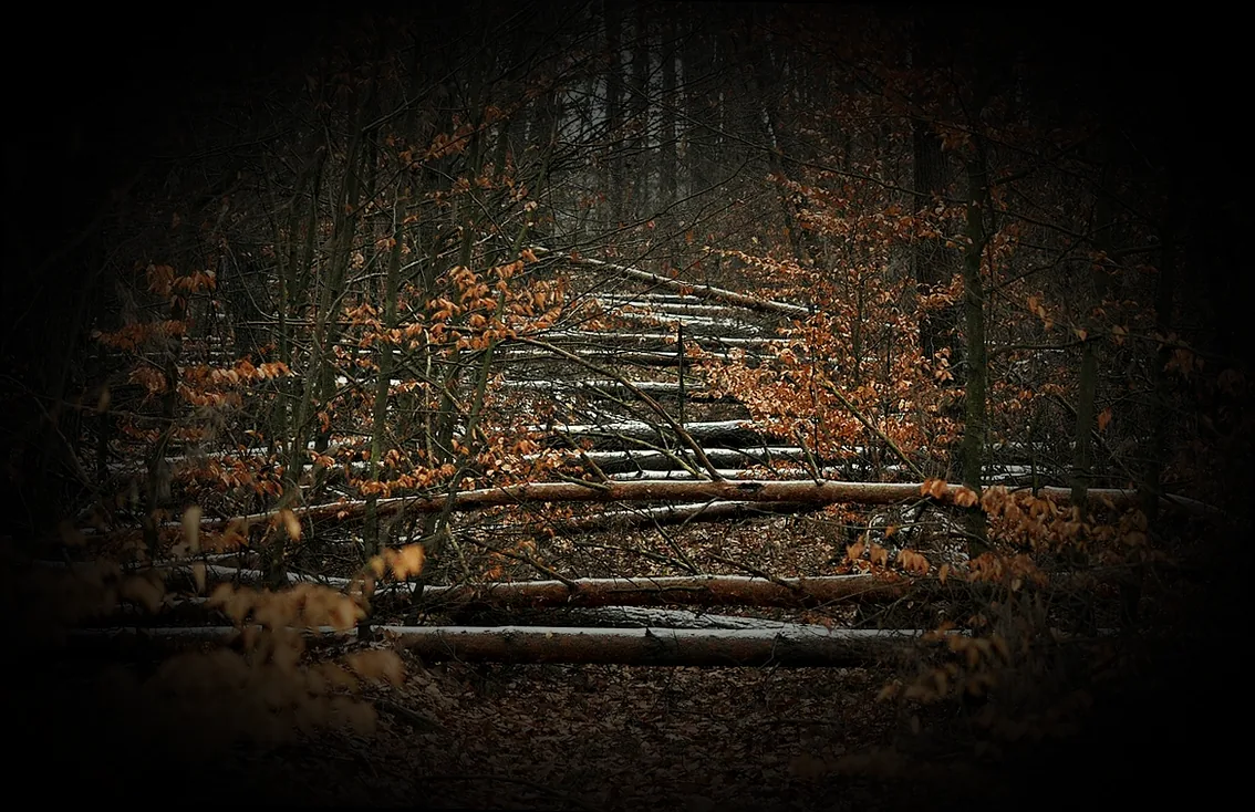 windschutz terrasse ohne bohren - Bild 3