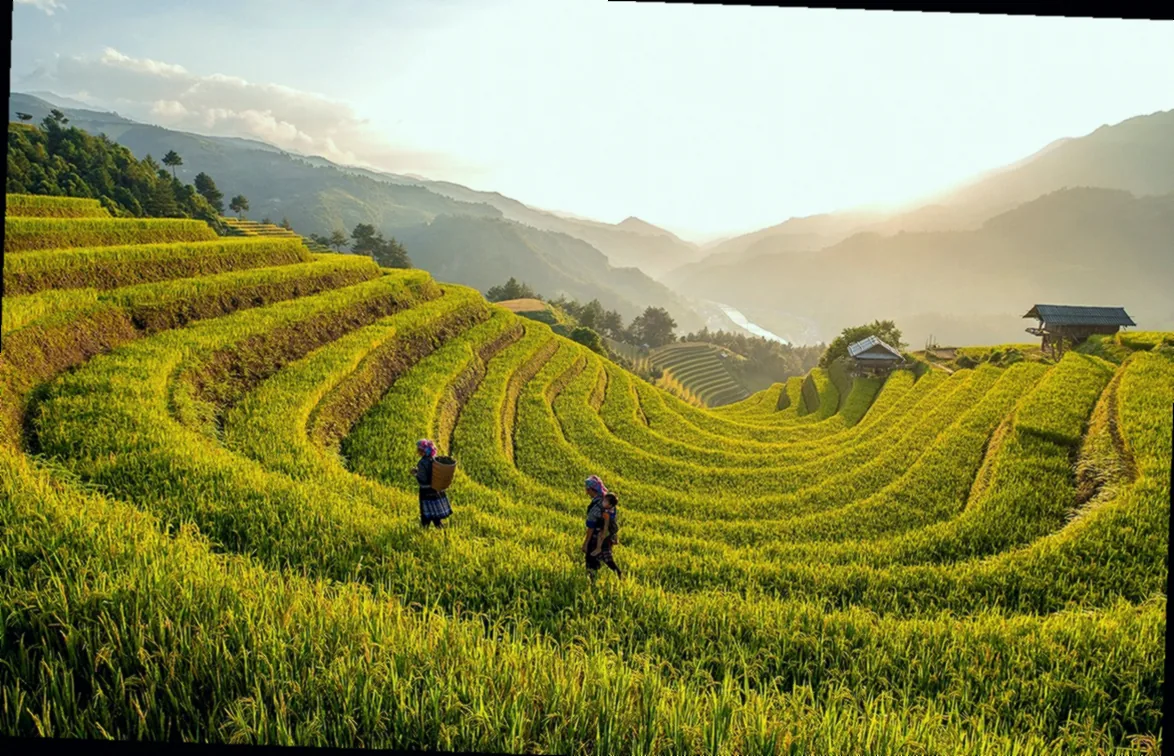 windschutz terrasse ohne bohren