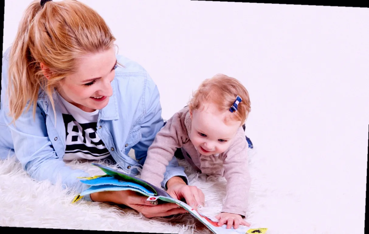 winterpflanzen für balkonkasten - Bild 2